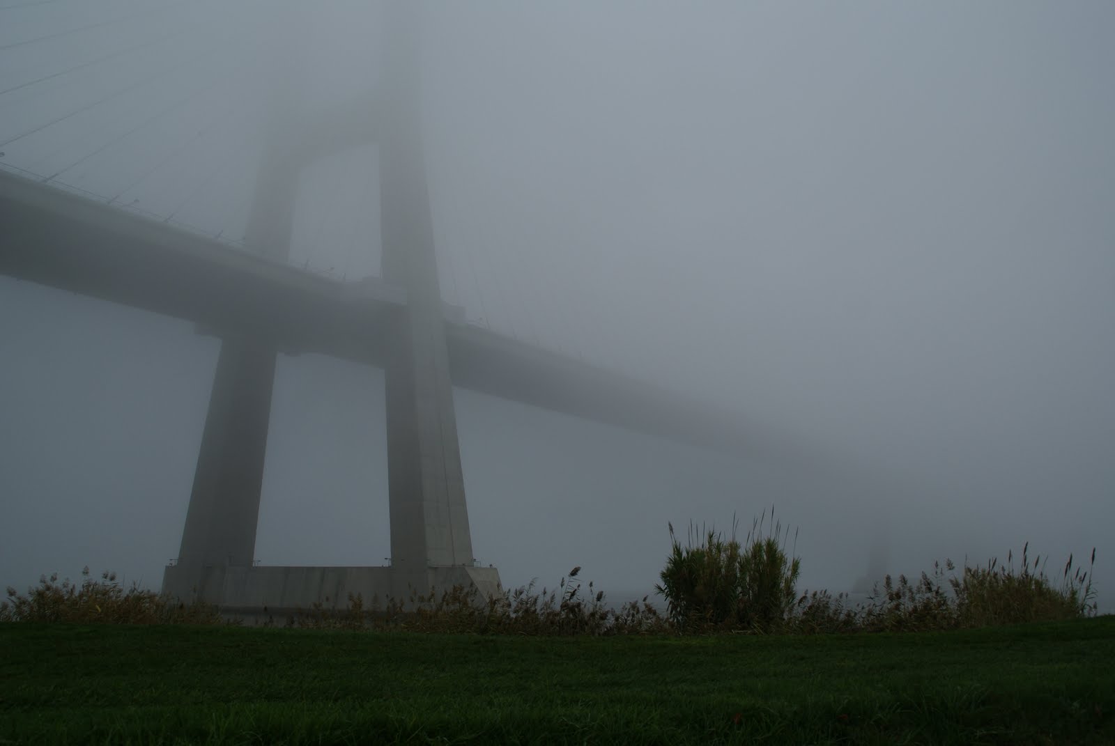 [147+DSC01591.JPG]