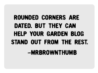rounded corners in Blogger images