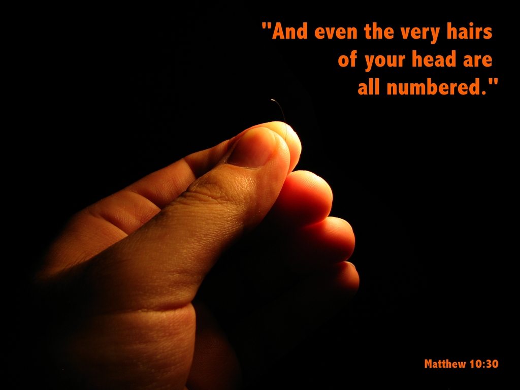 Spiritual Quotes Desktops