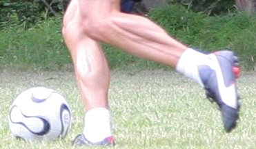 [piernas.jpg]