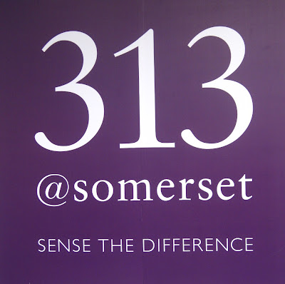 somerset 313