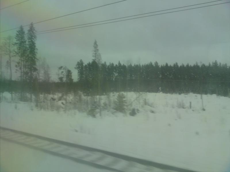 [image-upload-103-746247.jpg]