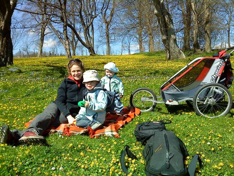 [image-upload-55-713253.jpe]