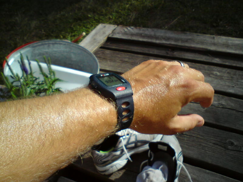 [image-upload-87-705142.jpg]