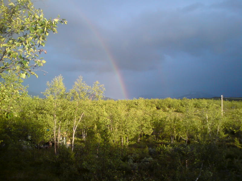 [image-upload-36-745369.jpg]