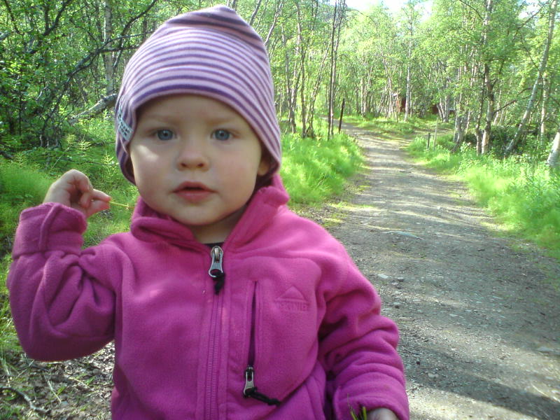 [image-upload-36-734645.jpg]