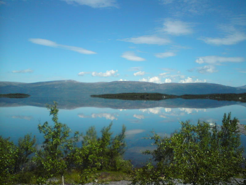 [image-upload-236-733037.jpg]