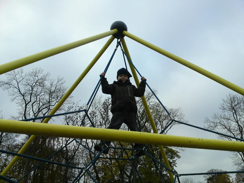 [image-upload-270-771348.jpg]