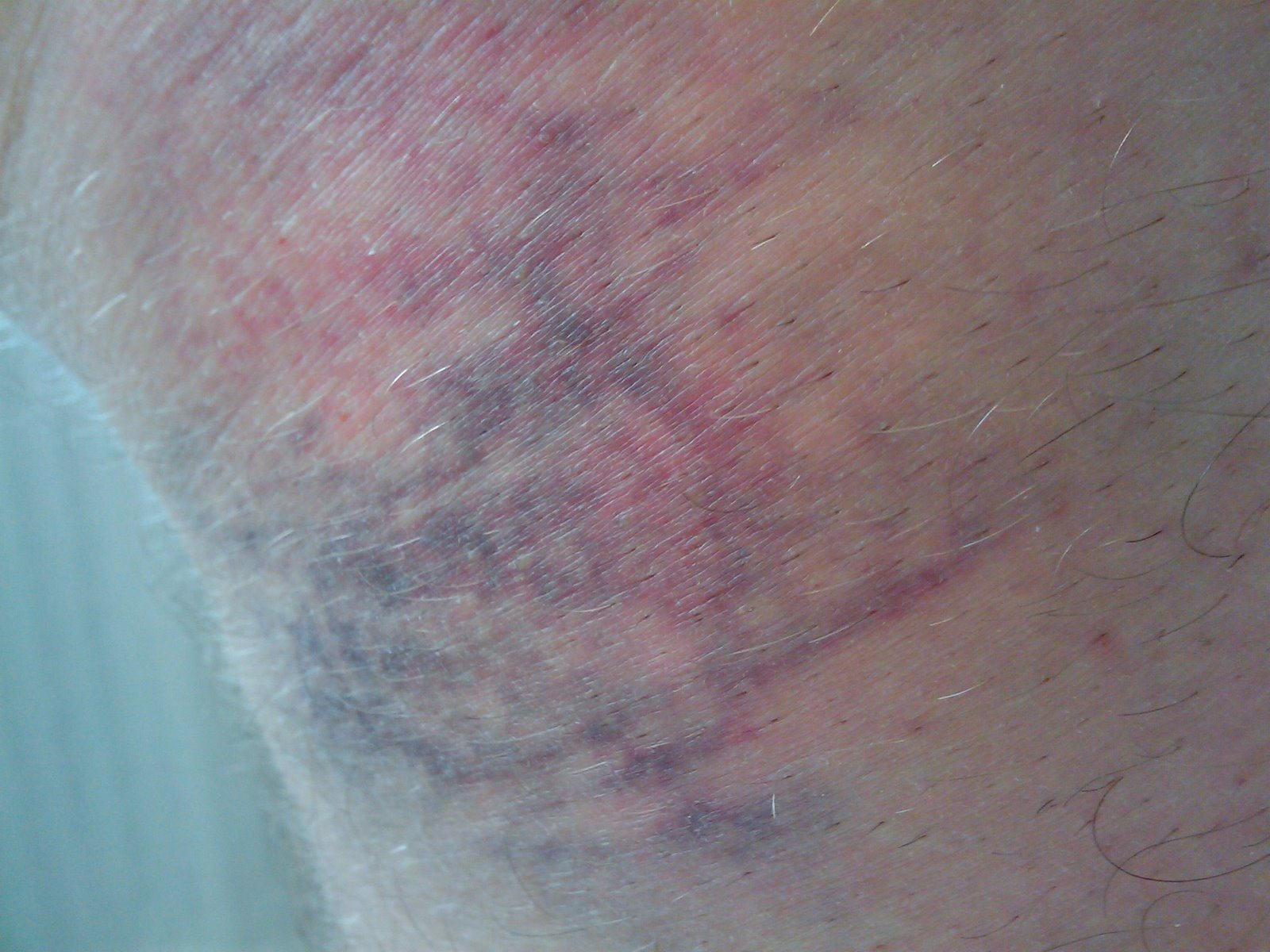 [1240126822698-780140.jpg]