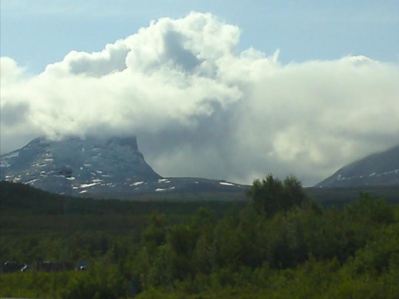 [image-upload-54-702519.jpg]