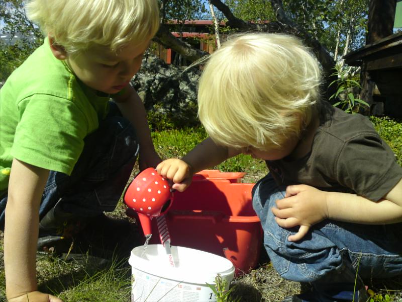 [image-upload-135-753582.jpg]