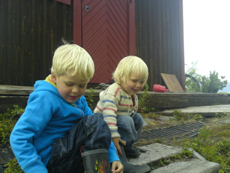 [image-upload-122-718115.jpg]