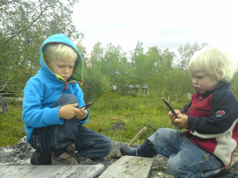 [image-upload-166-767310.jpg]