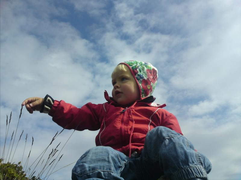 [image-upload-330-704272.jpg]