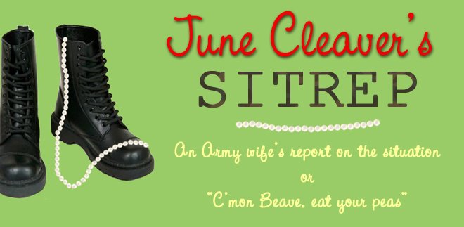 June Cleaver's SITREP