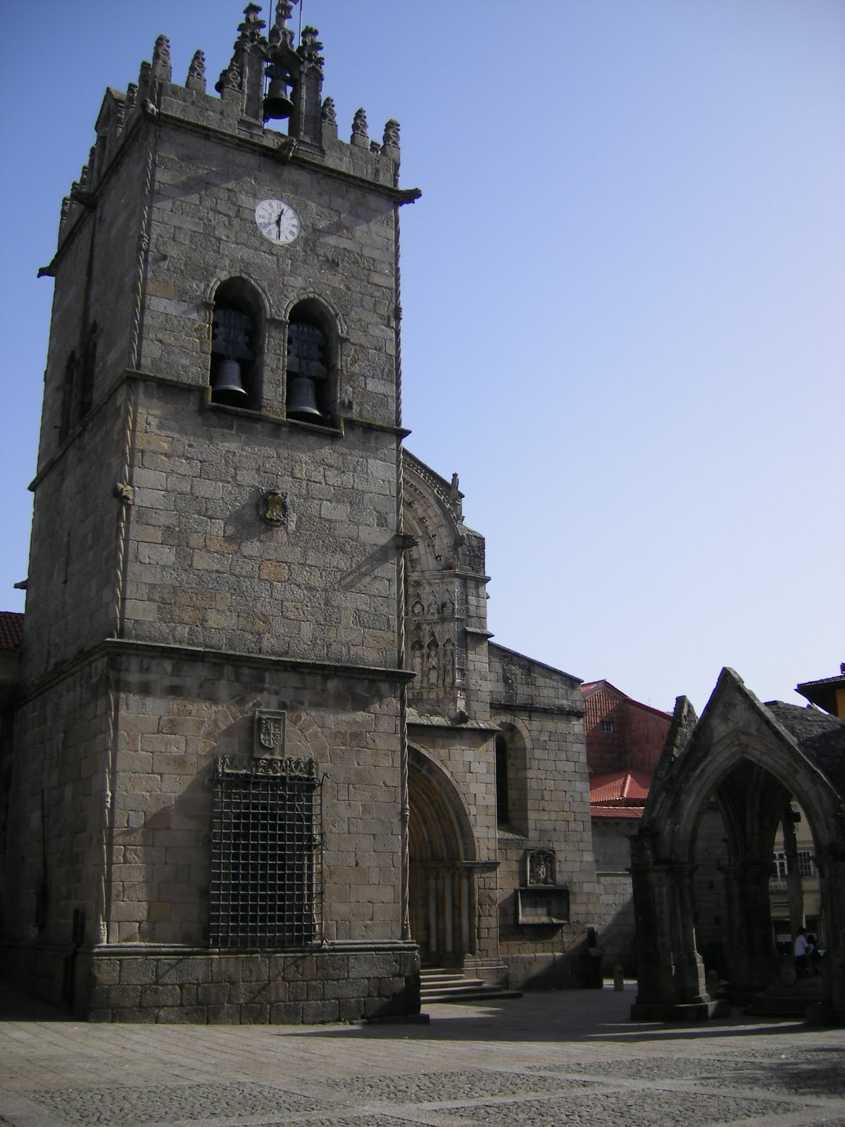 [IMGP0233.JPG]