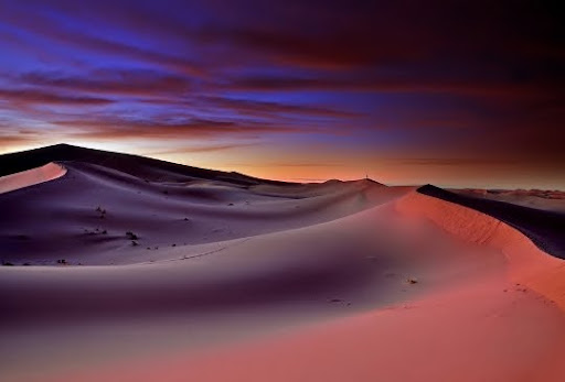 Morning in the sahara by ablok Morning in the sahara by ablok