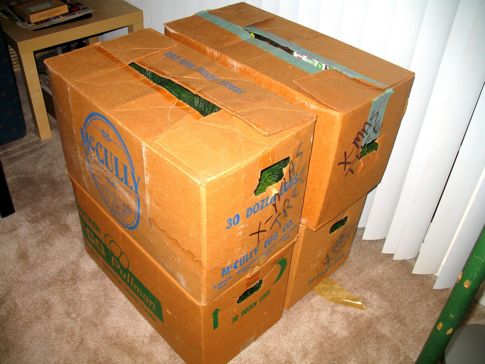 Christmas tree w/ holly box Life in the Pitts: November 2009