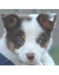 [FRIEND-ROT2-08.gif]
