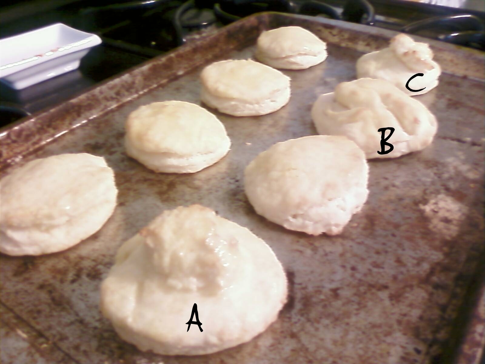 [biscuits2.jpg]