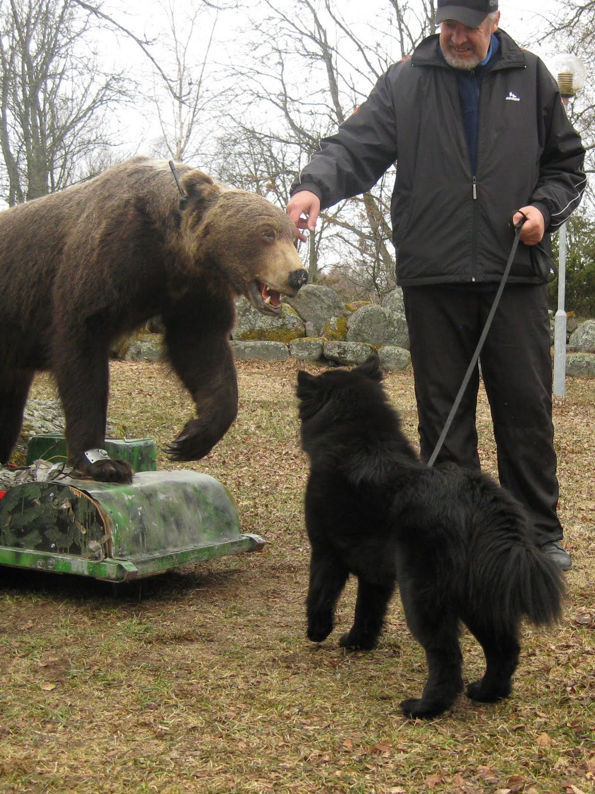 Care Bears Kennel Fenni The Karhukoira )