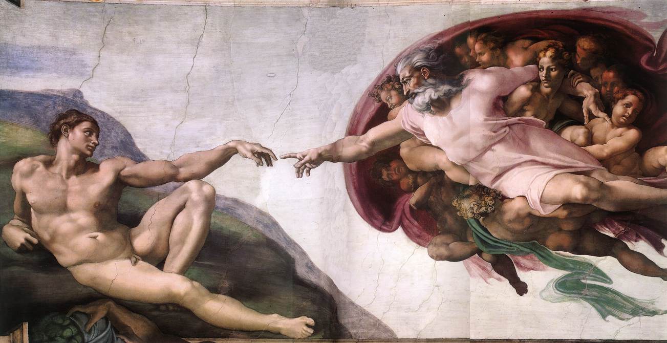 cerebelo cerebelo