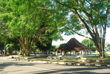 Kabupaten Wonosobo ~ Bumi Nusantara