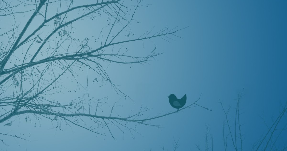 Cool Desktop Wallpapers