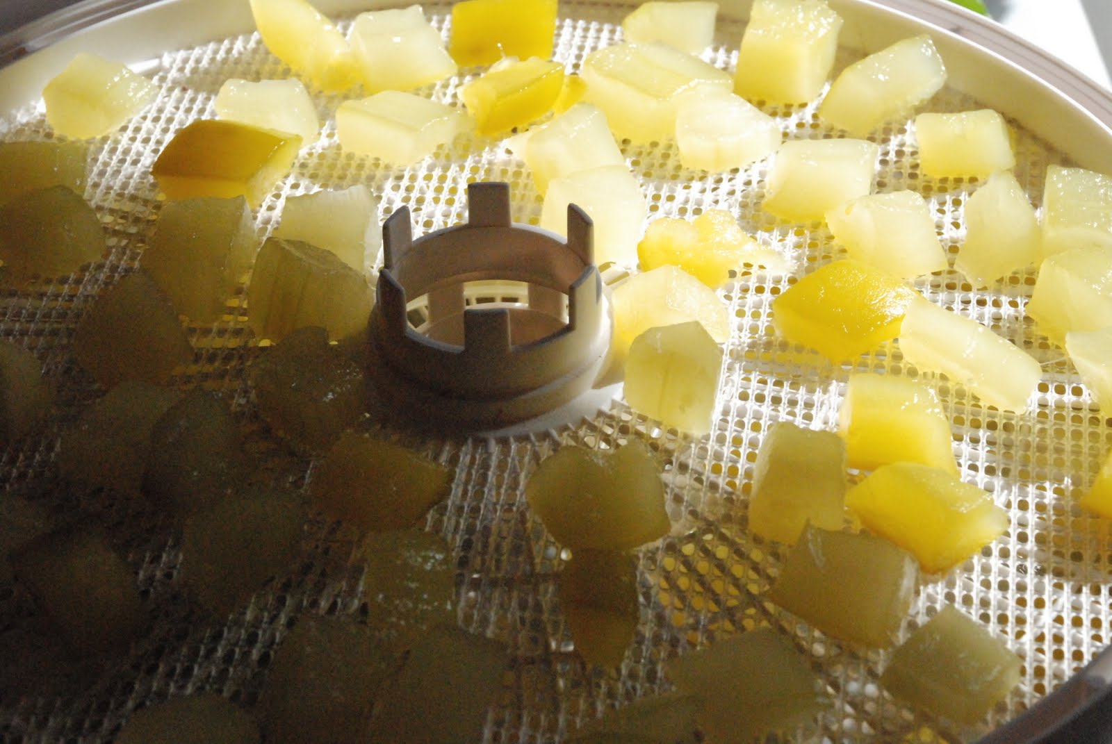 Homemade Serenity Making Zucchini Gummi Candies