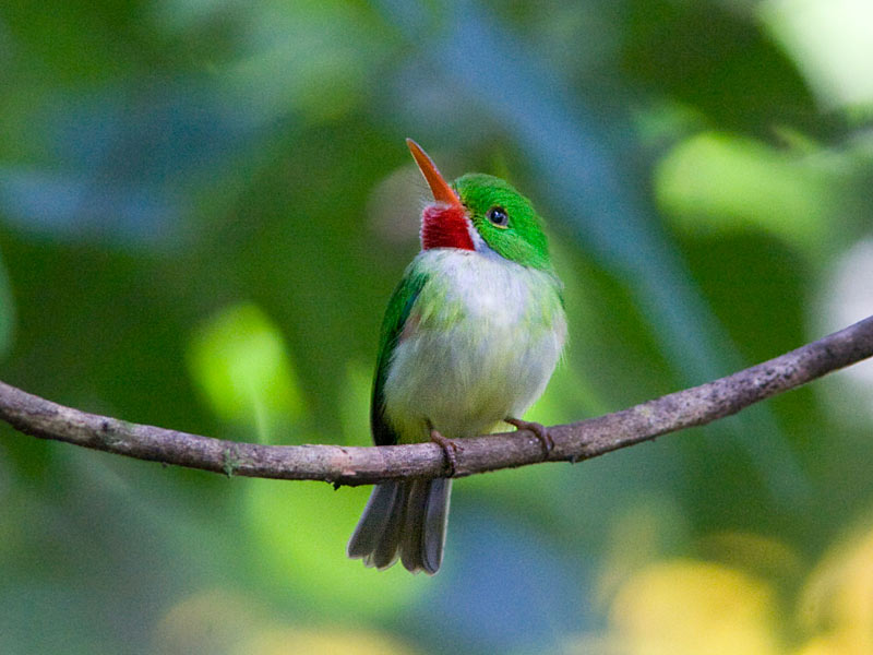 [jamtodysma.5961.jpg]