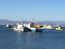 COQUIMBO CUARTA REGION     CHILE