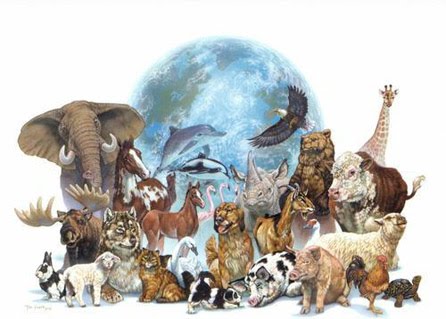 Fauna del mundo Fauna del mundo