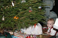 Samuel and the Christmas tree