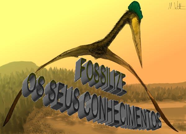 FOSSILIZE SEUS CONHECIMENTOS