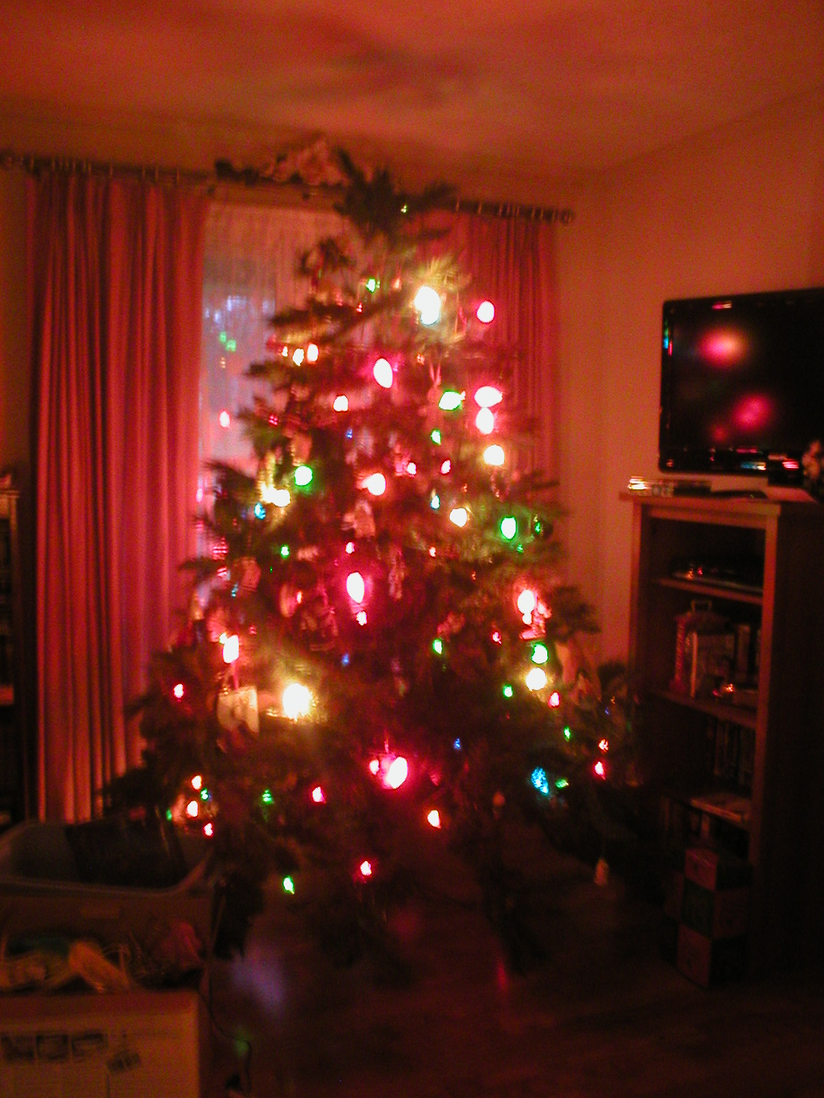 [Christmas+Tree+009.jpg]