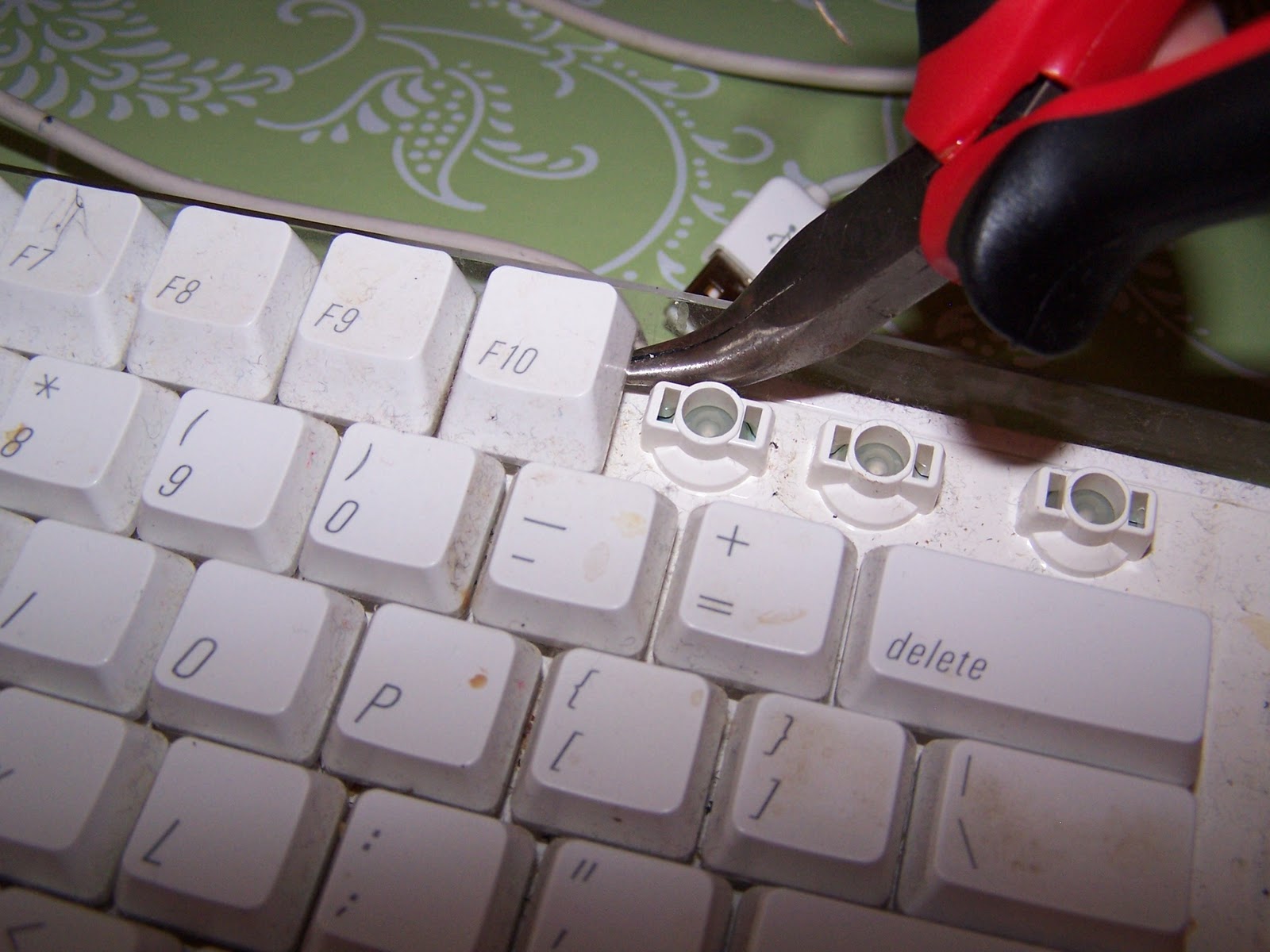 Bella Before and After Cleaning an Apple Keyboard