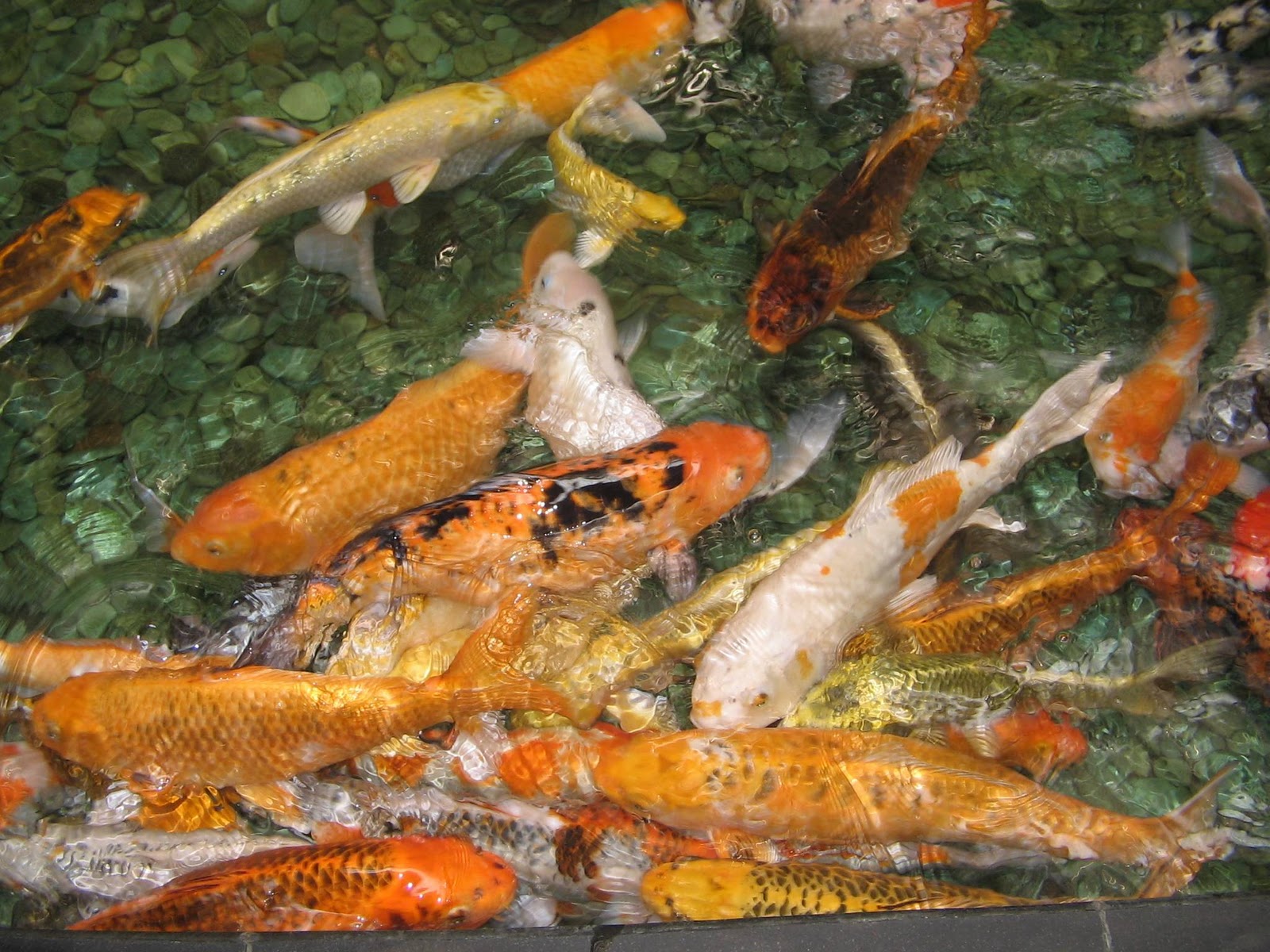 The Journey of Live, Love & Life: Hari Ini daLam sEjaRah = 10.10.10