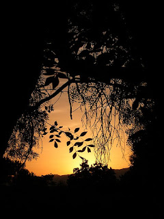 Entardecer