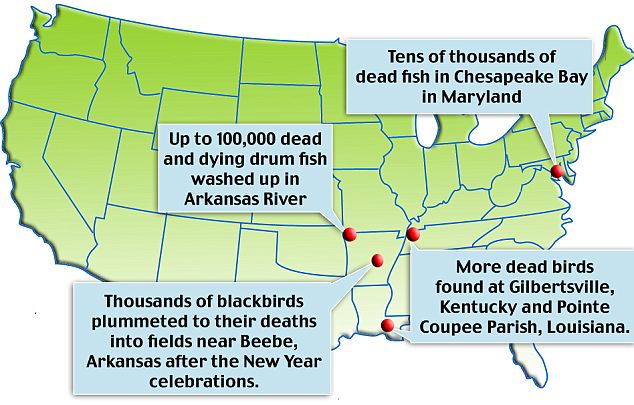 Massive numbers of birds and fish dying all over the world. Massive numbers of birds and fish dying all over the world.