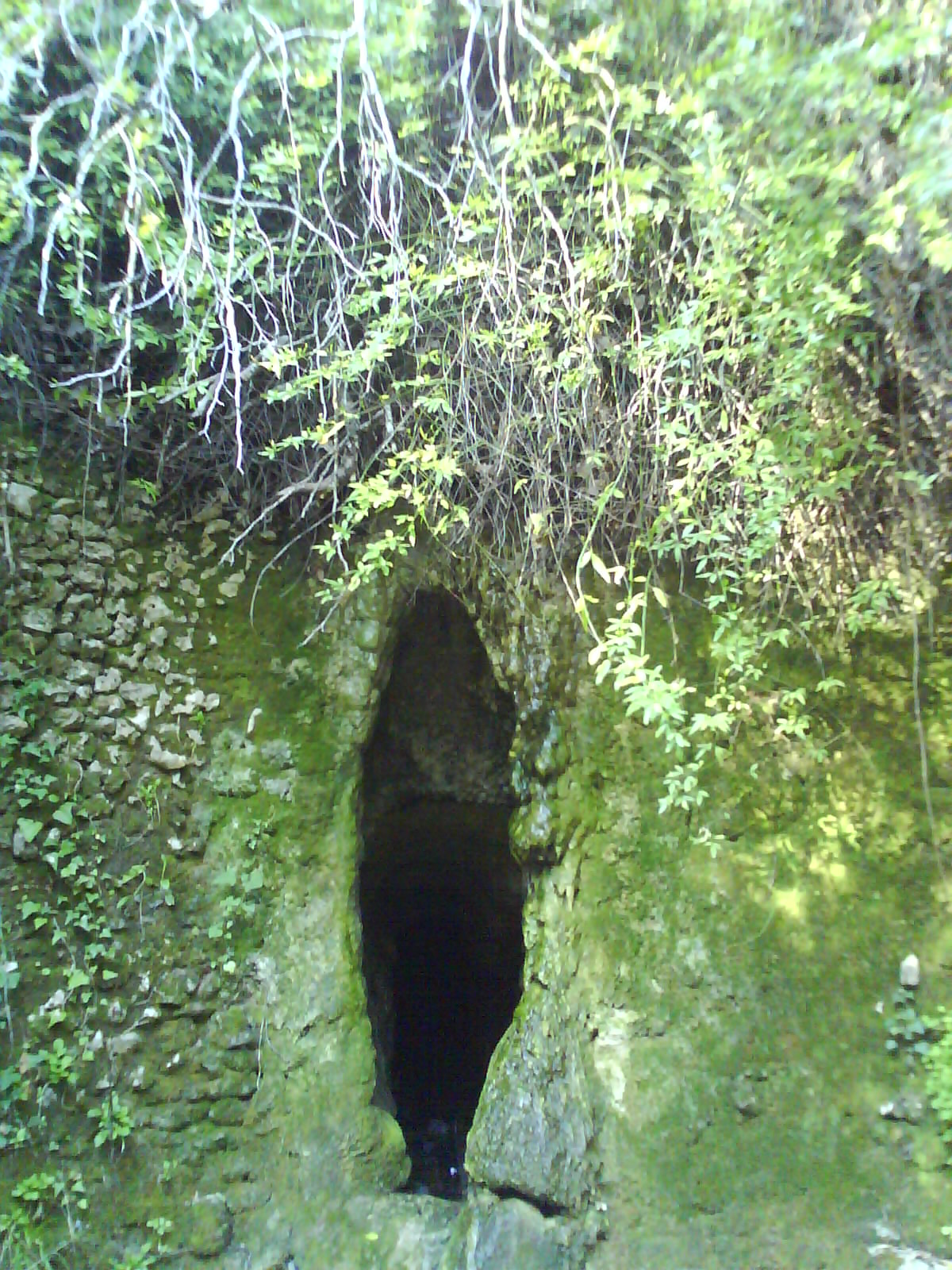 [DSC00065.JPG]