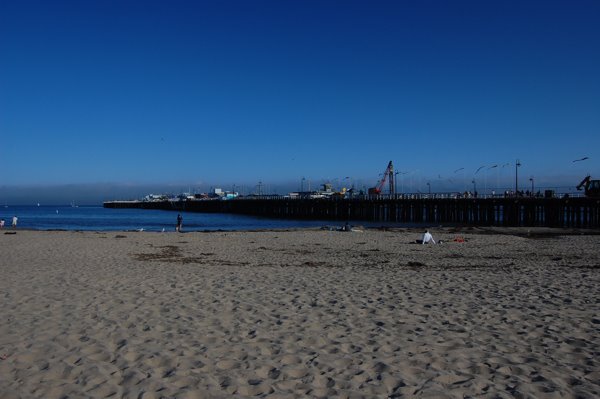 [DSC_0215.JPG]