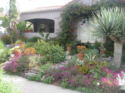 California Native Drought Tolerant Plants