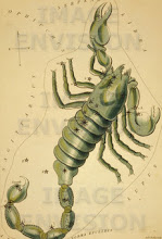 Scorpio