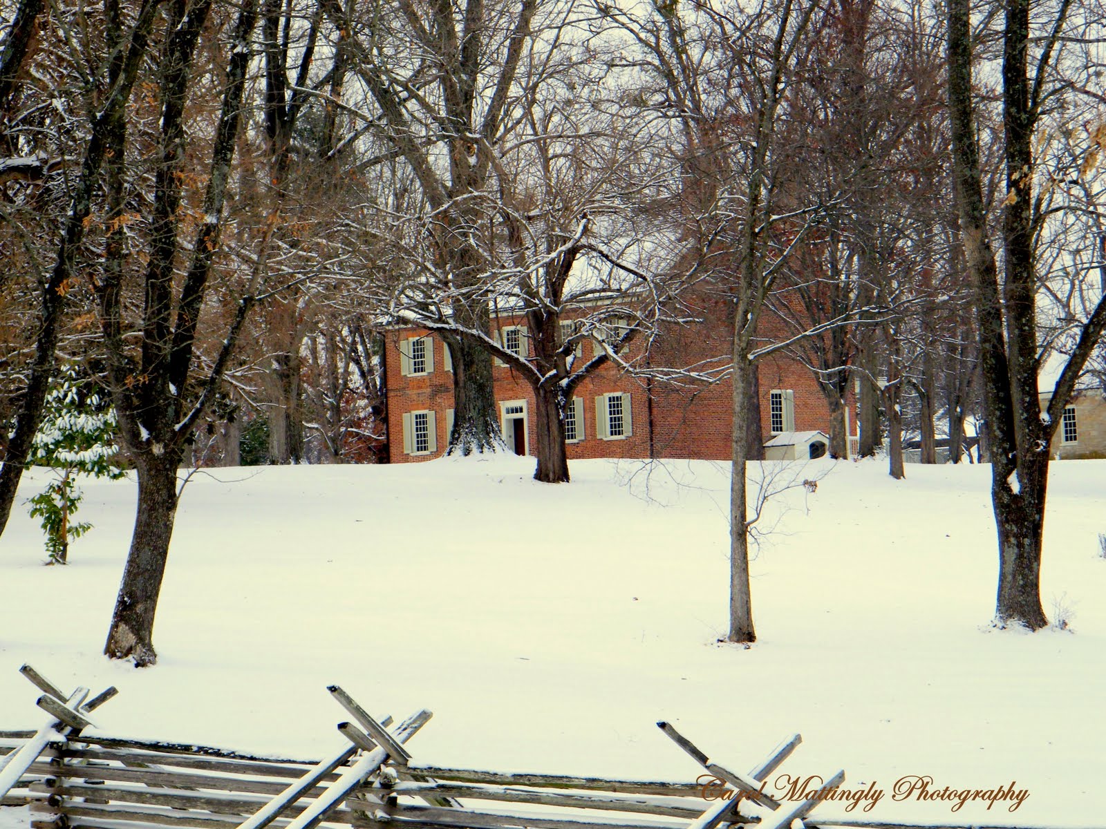 Carol Mattingly Photography Historic Locust Grove!
