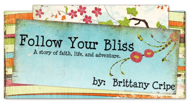 Follow Your Bliss