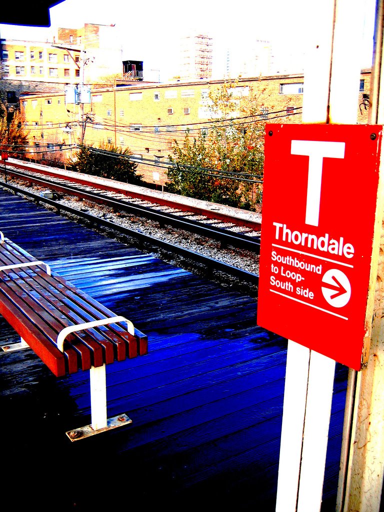 [3164786183_bb4213e391_b.jpg]