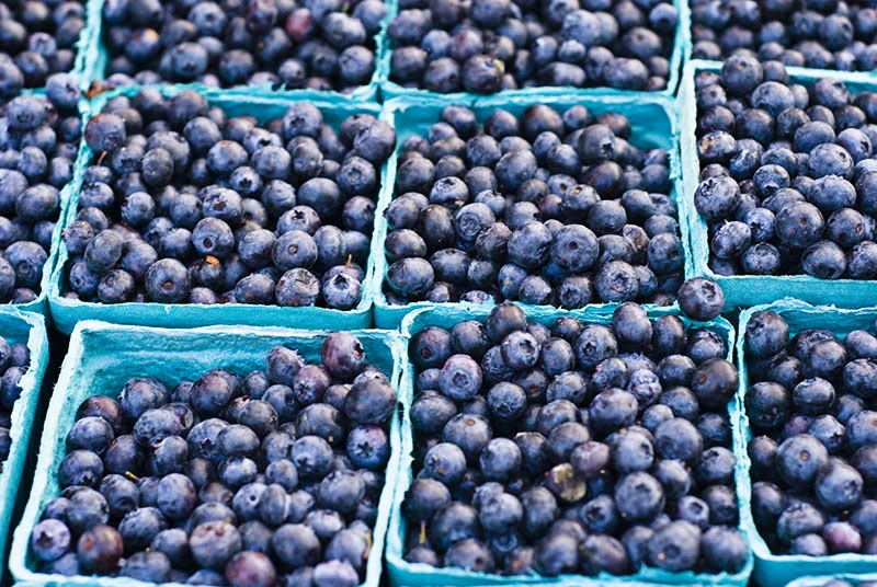 [2799019660_f55cf2f064_o.jpg]