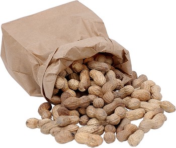 bag+of+peanuts.jpg