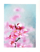 Cherry Blossoms