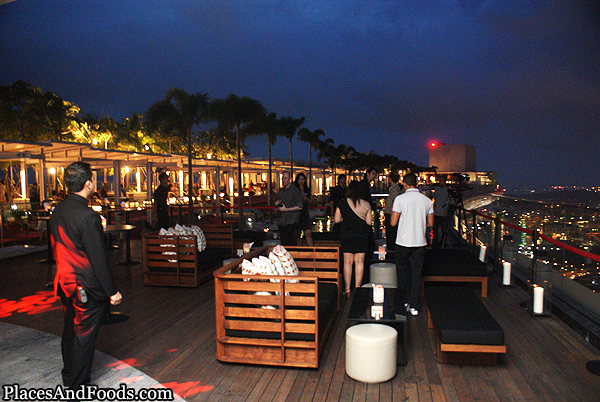 A V E R A G E JANE: Marina Bay Sands - Skypark & Ku De Ta